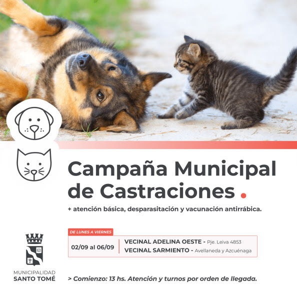 La Campaña Municipal de Castraciones sigue recorriendo la ciudad