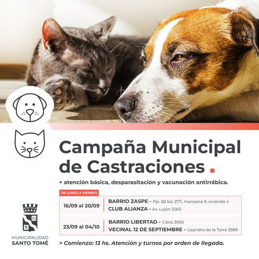 La Campaña de Castraciones continuará atendiendo en el Barrio Zaspe y el Club Alianza