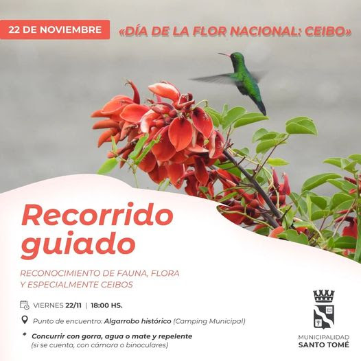 La Municipalidad invita a una visita guiada en el marco del Día de la Flor Nacional para reconocer los Ceibos